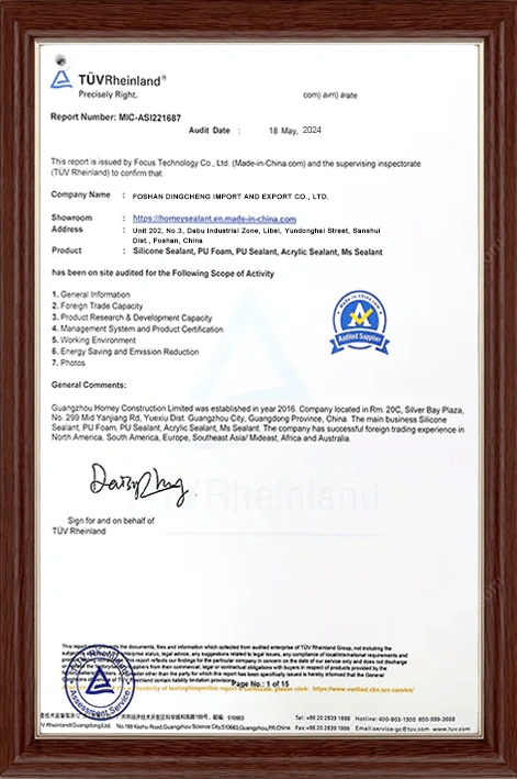 TUV Rheinland Audit Report