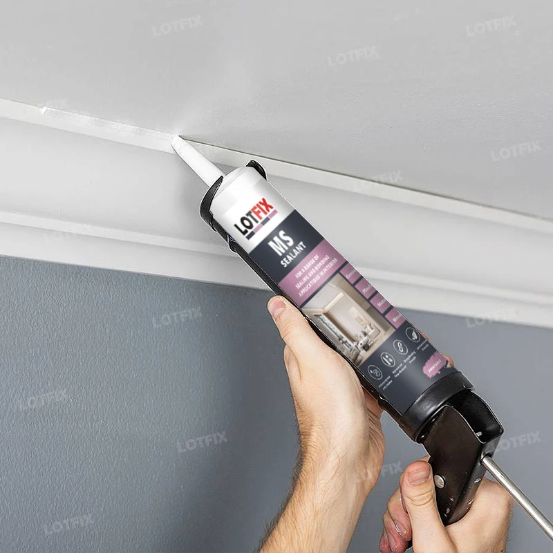 MS Polymer Sealant