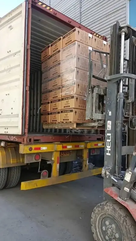 silicone shipping
