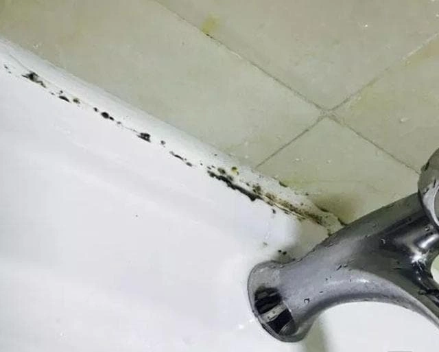 Will using silicone sealant in the bathroom cause mold?
