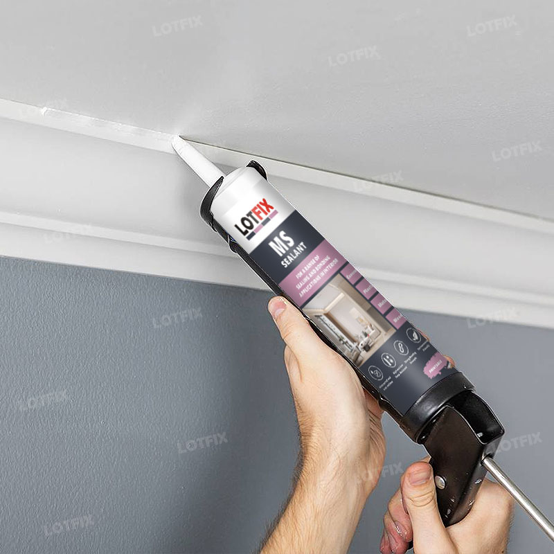 Other Sealants